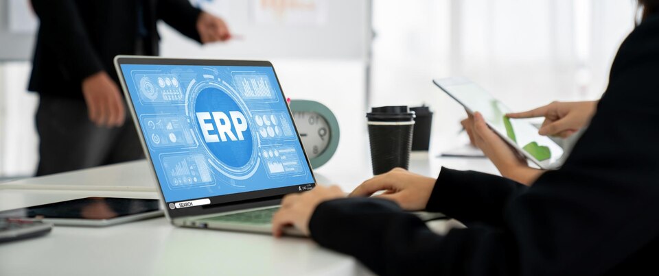 Menyesuaikan Sistem ERP